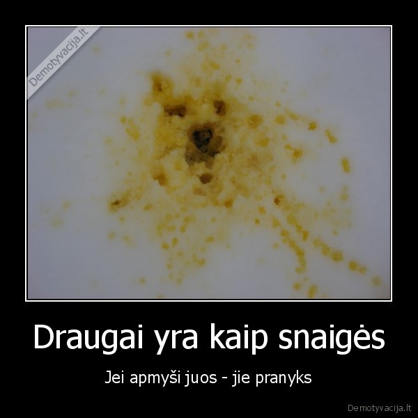 Draugai yra kaip snaigės
