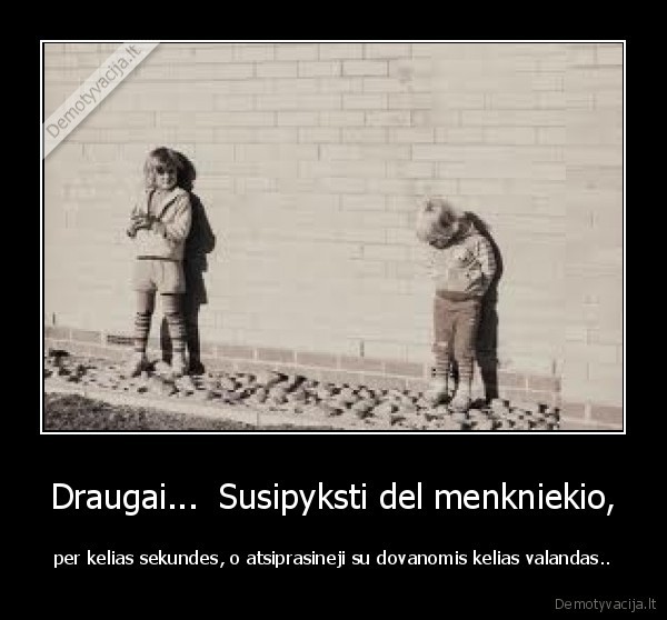 Draugai...  Susipyksti del menkniekio,