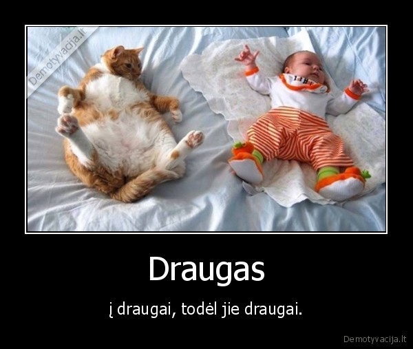 Draugas