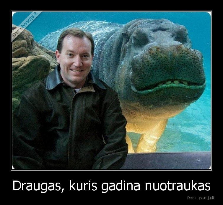 draugas,hipopotamas,gadina,nuotrauka
