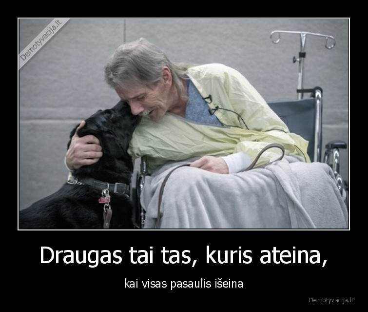 draugas,liga,suo