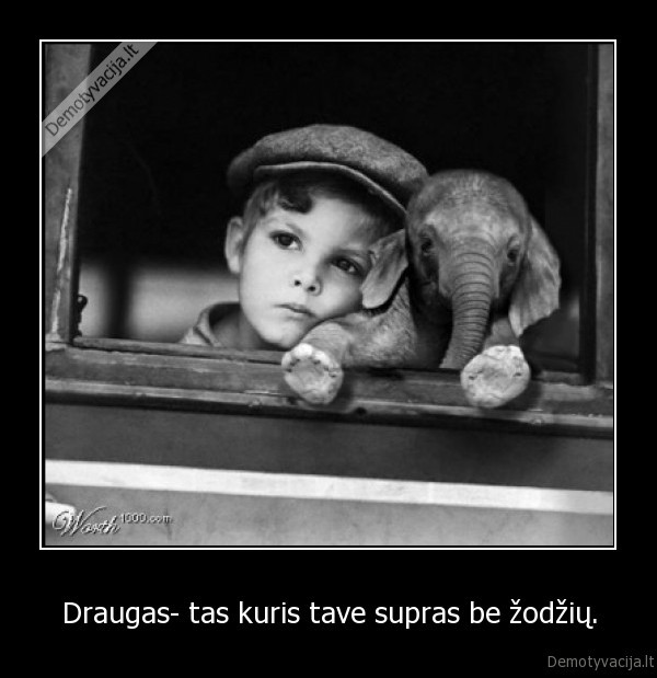 Draugas- tas kuris tave supras be žodžių.