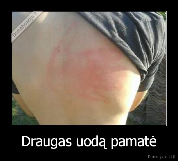 Draugas uodą pamatė