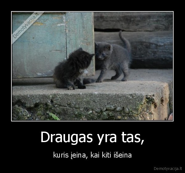 reikia, drauga, tureti