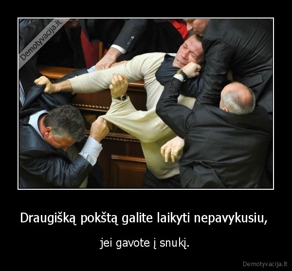 gavo, i, skuni, uz, poksta
