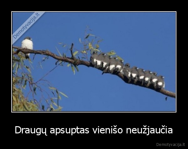 Draugų apsuptas vienišo neužjaučia