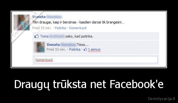 draugai, vienas, sikna, melyna, donata