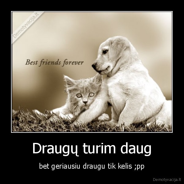 Draugų turim daug