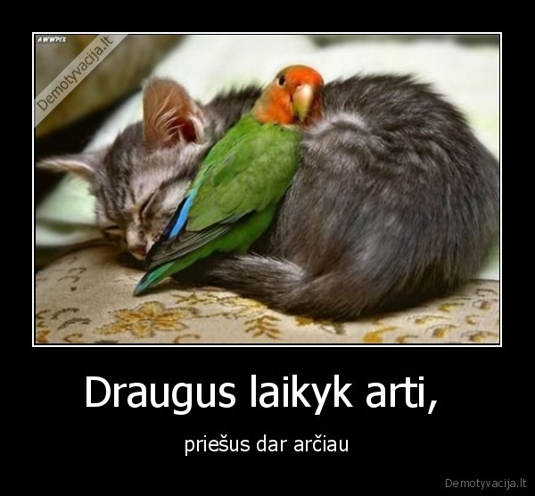 Draugus laikyk arti, 