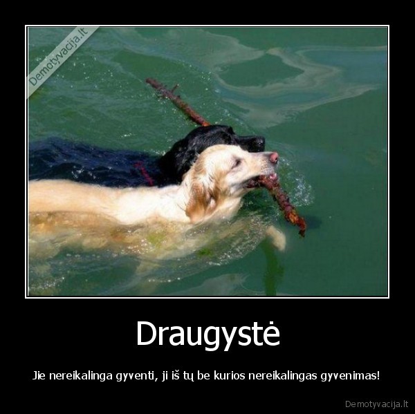 Draugystė