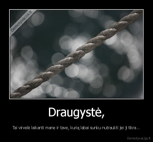 Draugystė,