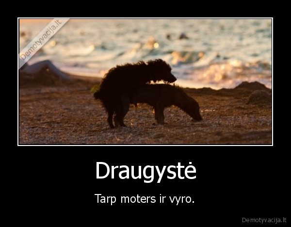 draugyste,moterys,vyrai
