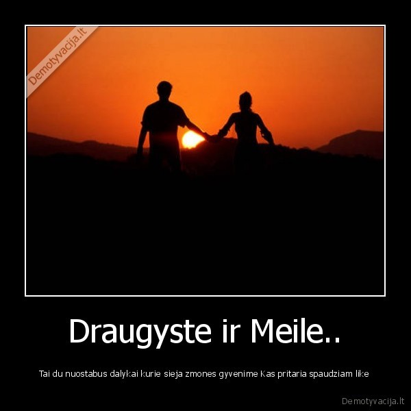 draugyste, meile, like