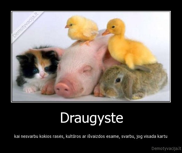 draugyste,draugai,meile,siluma
