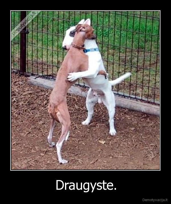 Draugyste.