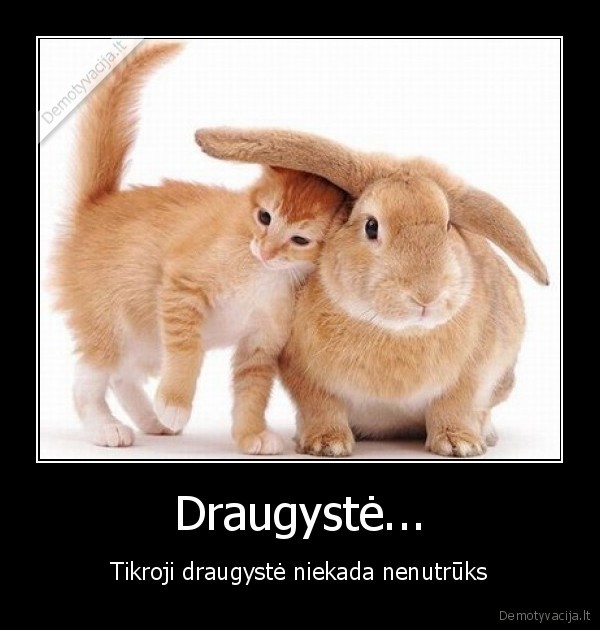 Draugystė...