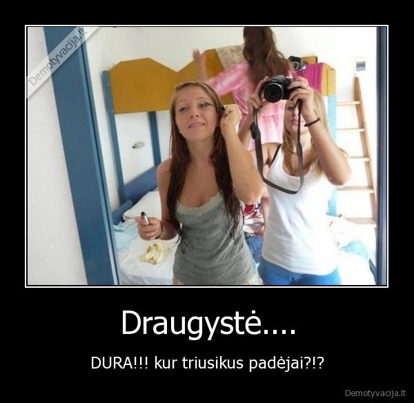 Draugystė....