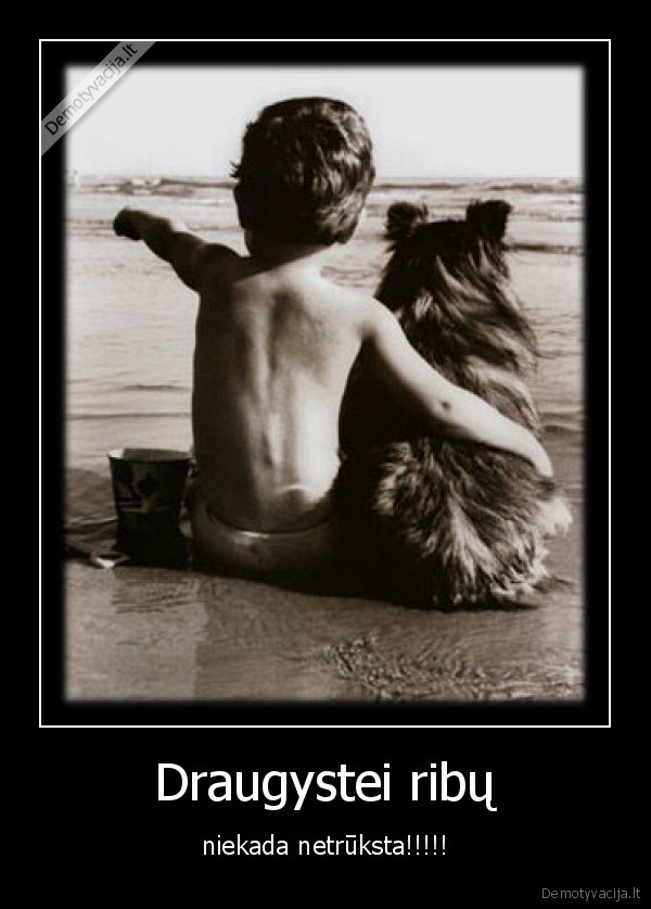 Draugystei ribų