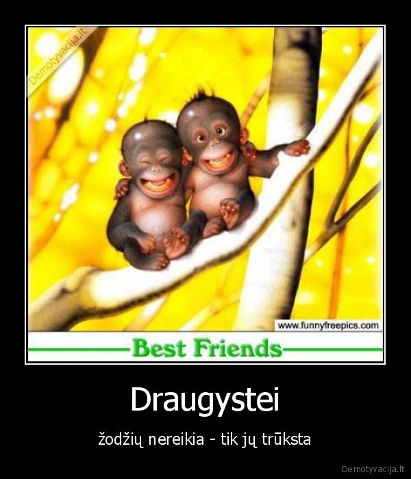 Draugystei