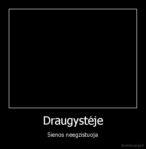 draugai,kaciukas,suo