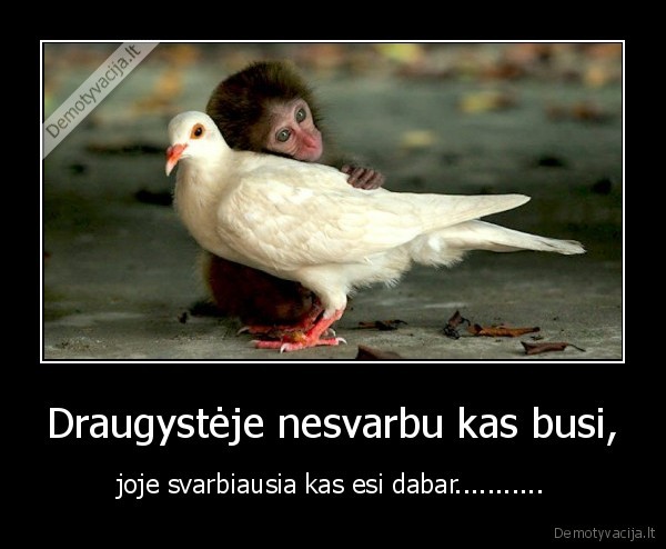 draugyste