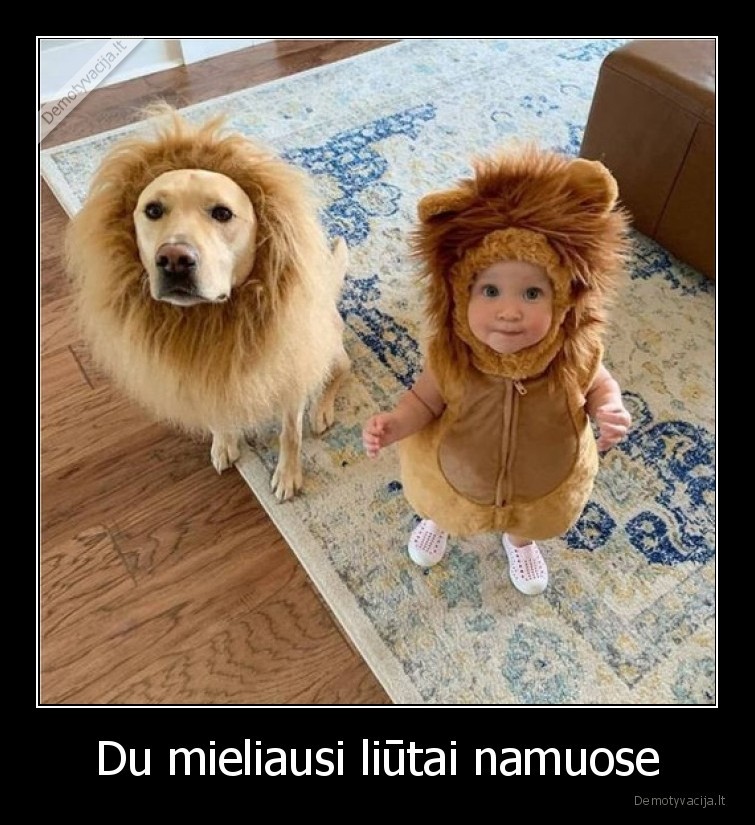 liutas,kostiumas,vaikas,suo