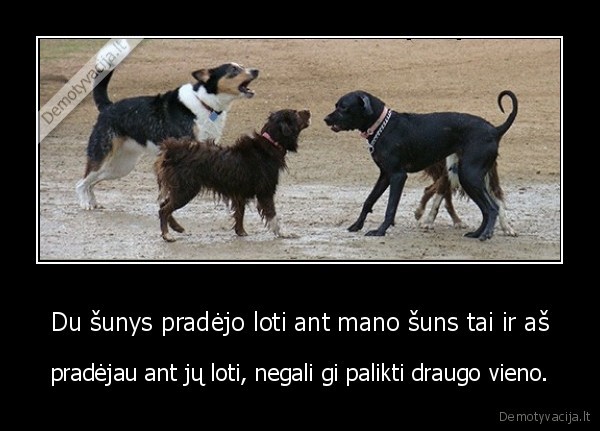 suo,lojimas
