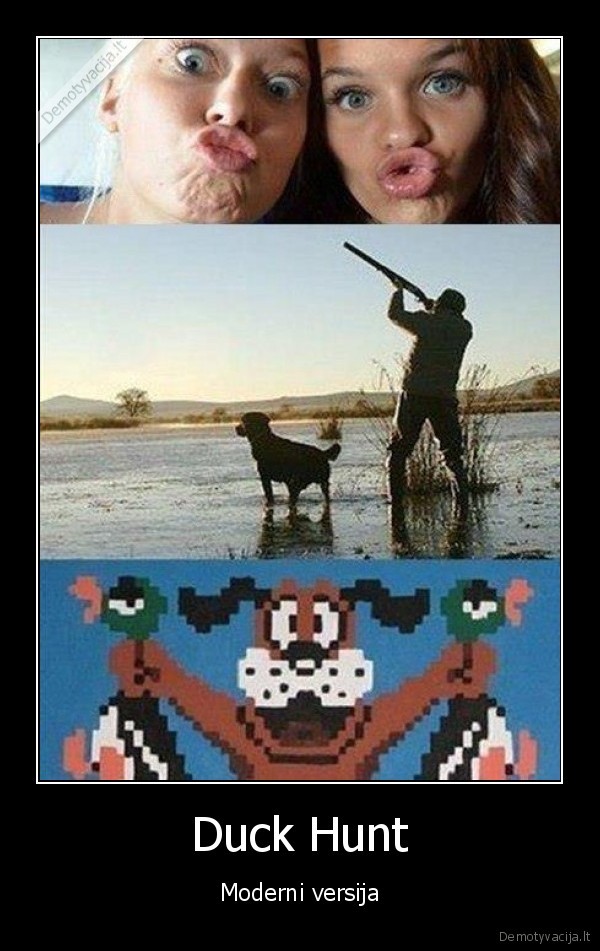 Duck Hunt
