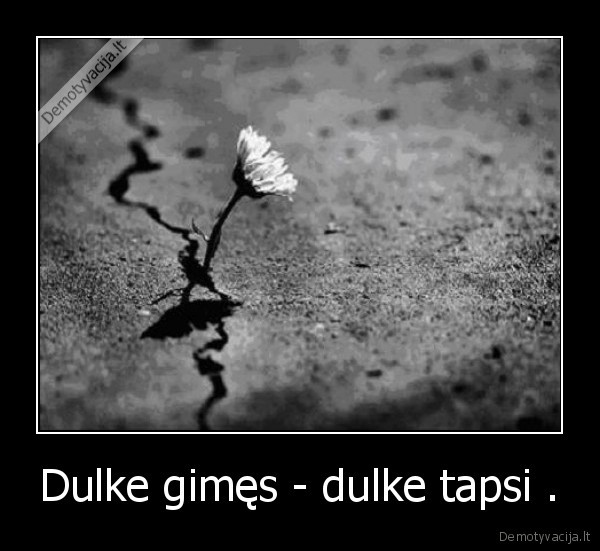 Dulke gimęs - dulke tapsi .