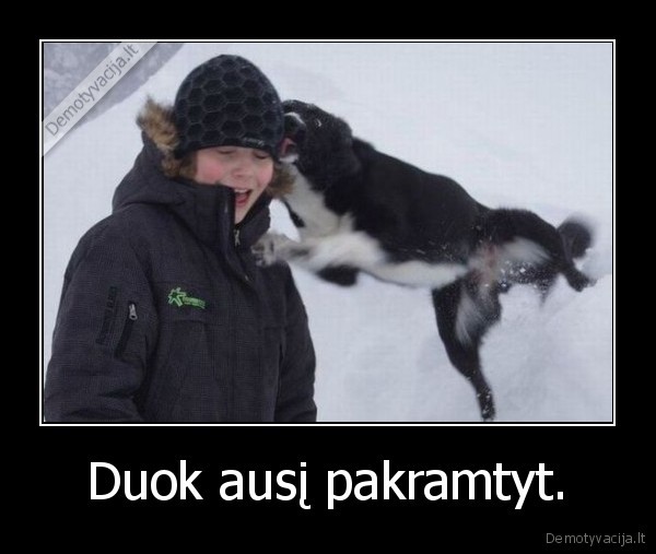 suo,ausis