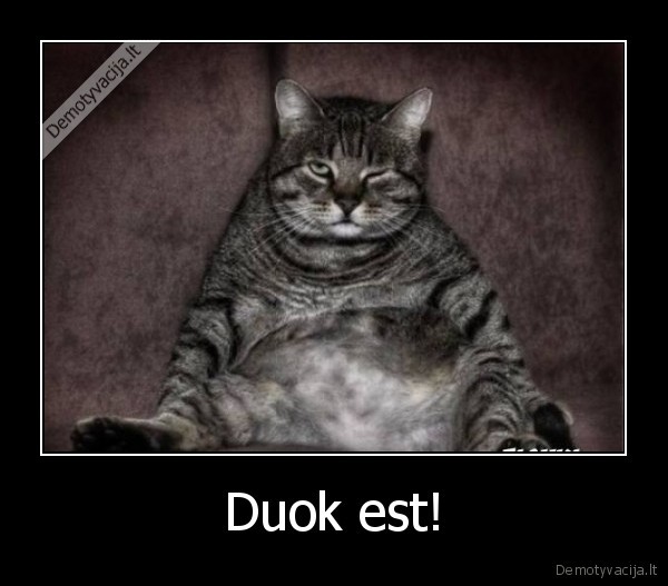 Duok est!