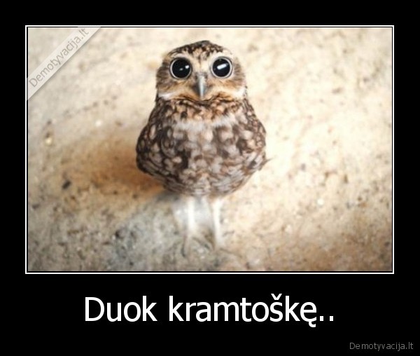 Duok kramtoškę..
