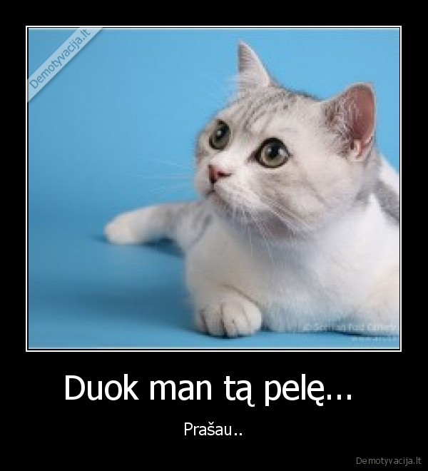 Duok man tą pelę... 