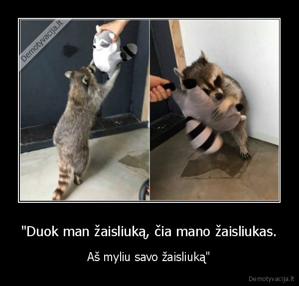 meskenas,zaisliukas
