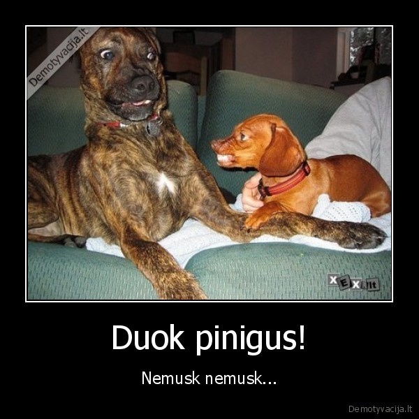 Duok pinigus!