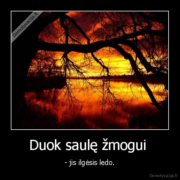 saule,ledas,gyvenimas