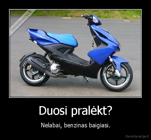ziurek,lempute,ziba