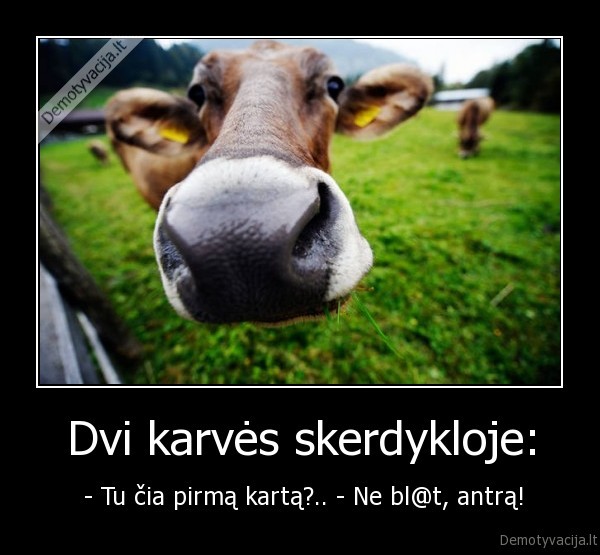 ha, ha