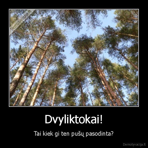 matematika, egzaminas, idiotai, su, savo, parabolem