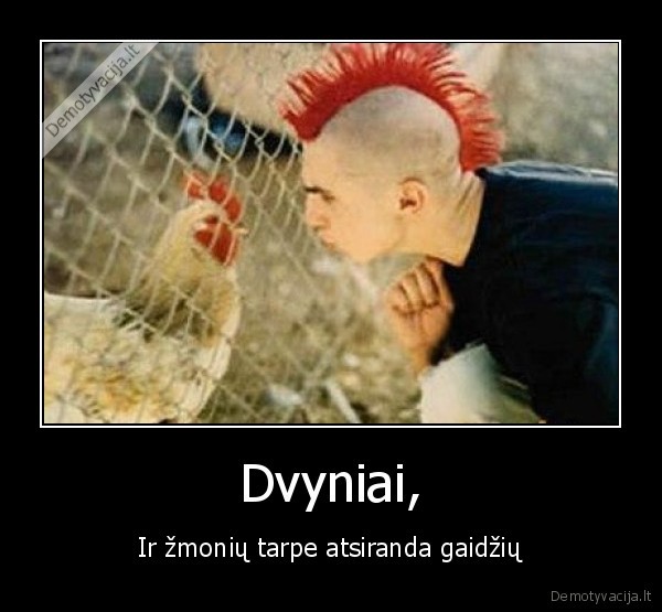 Dvyniai,