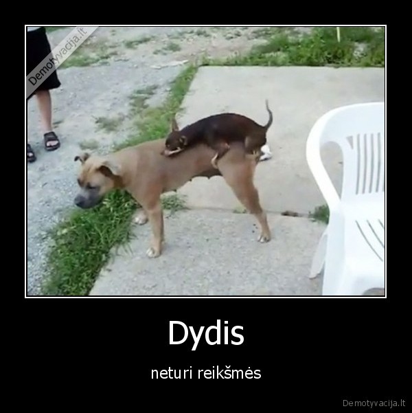Dydis