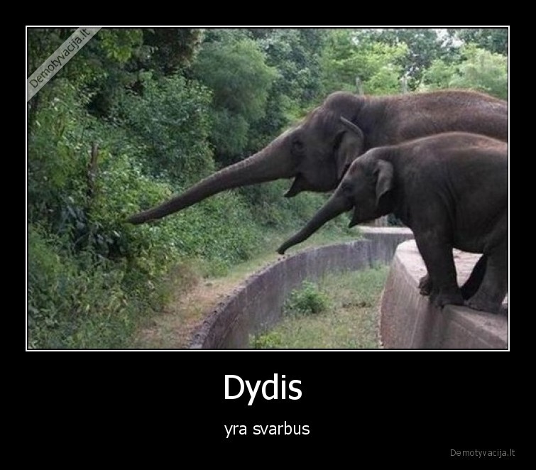 drambliukai,dydis,svarbus