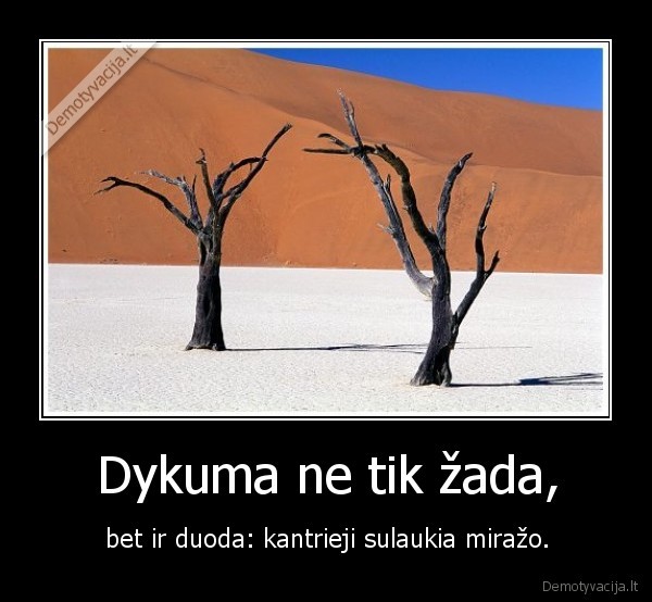 dykuma