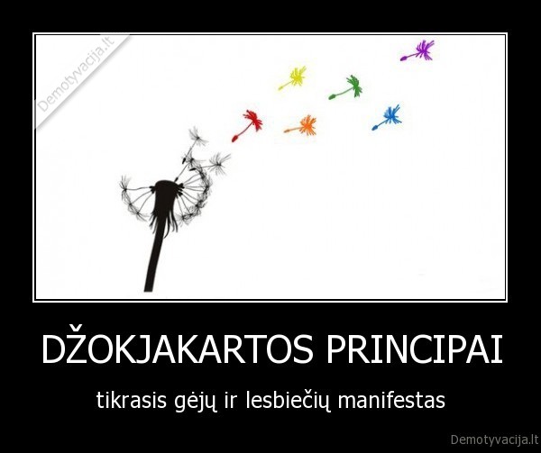 dzokjakartos, principai, geju, manifestas, lgbt, homo