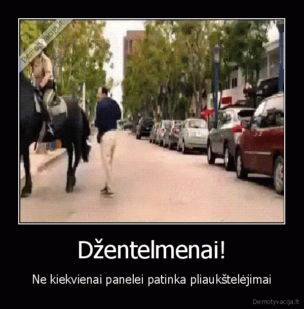 arklys,zmogus,pliaukstelejimas