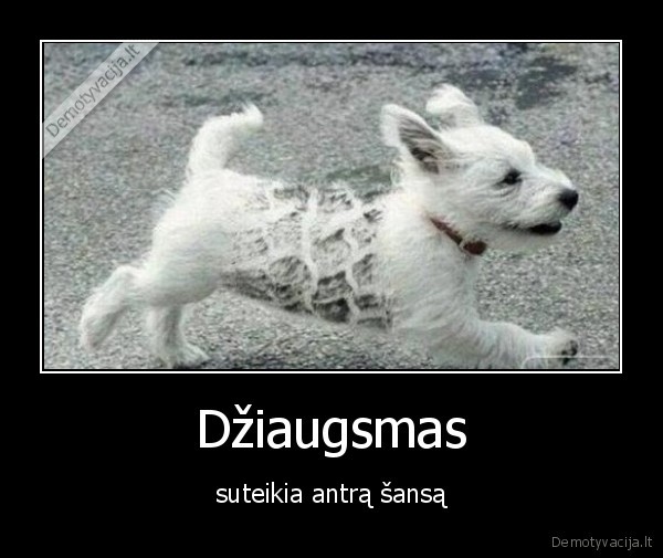 suo,laimingas, suo,labai, laimingas, suo,pervaziuotas, suo,pervaziuotas, suo,bet