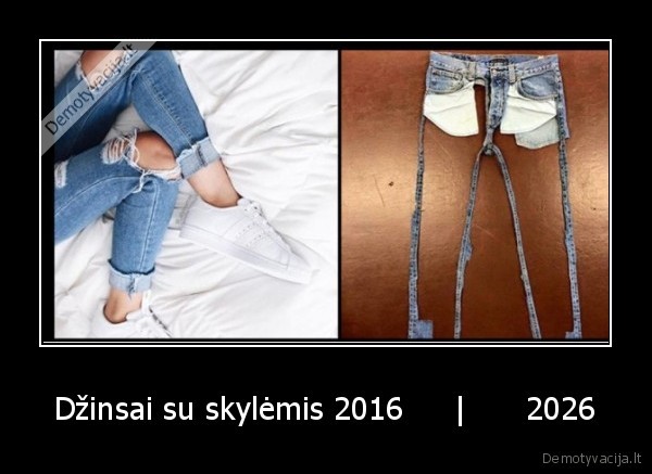 dzinsai,skyles
