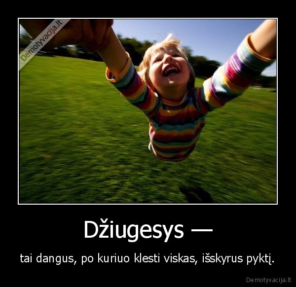 Džiugesys —