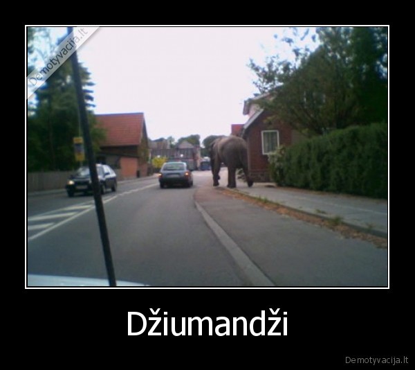 filmas, dziumandzi