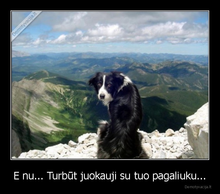 suo,aukstai,pagalys